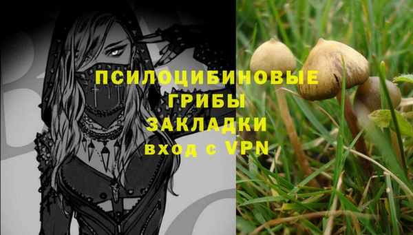 эйфоретик Надым