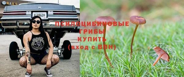 соль курить ск Михайловск