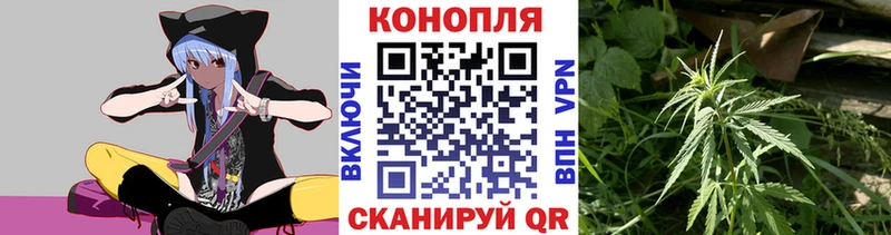 Купить  Ядрин  Бошки Шишки план 